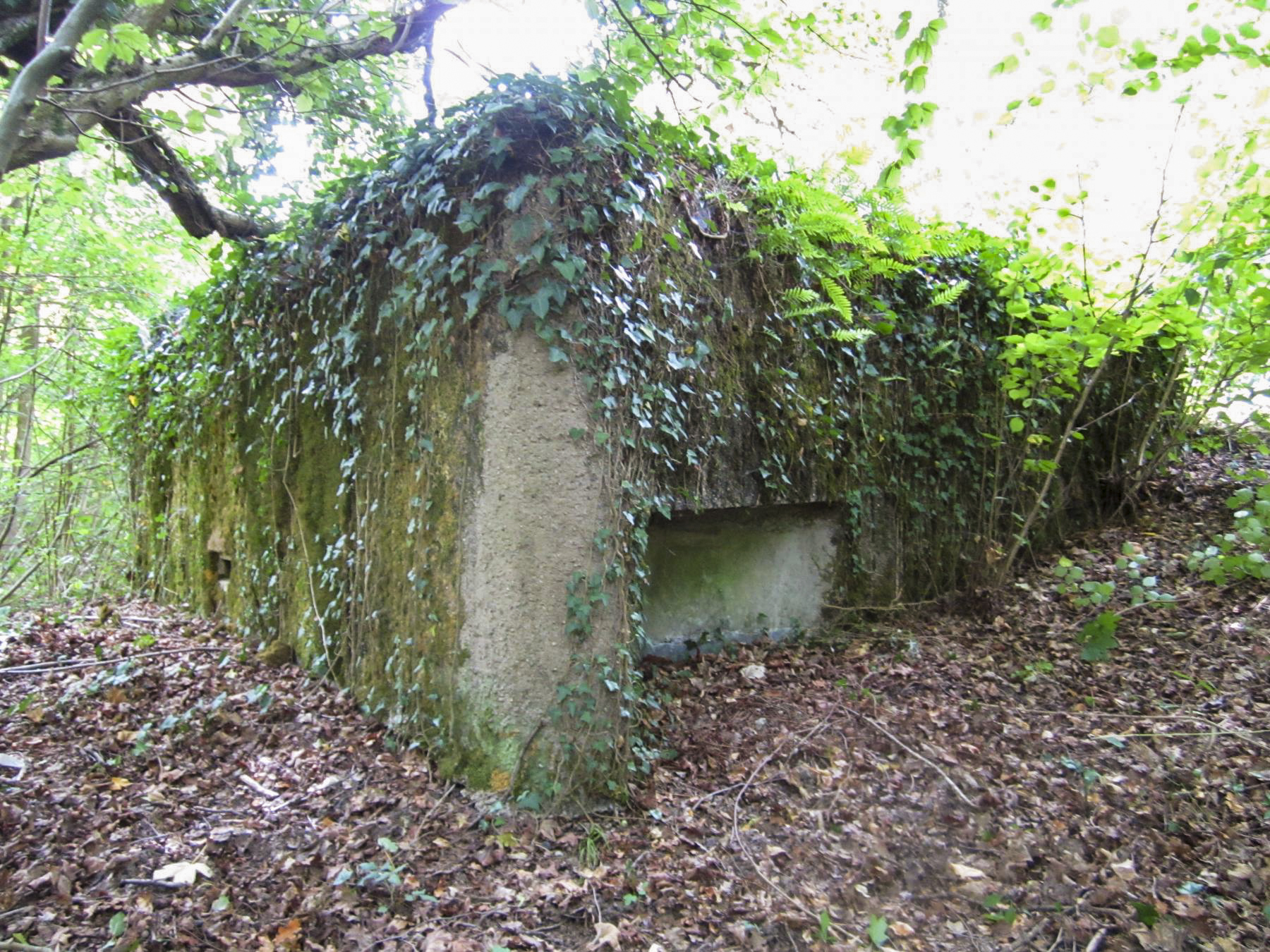 Ligne Maginot - HAUTE DIGUE 9 - (Blockhaus pour arme infanterie) - Créneau mitrailleuse gauche (nord)
