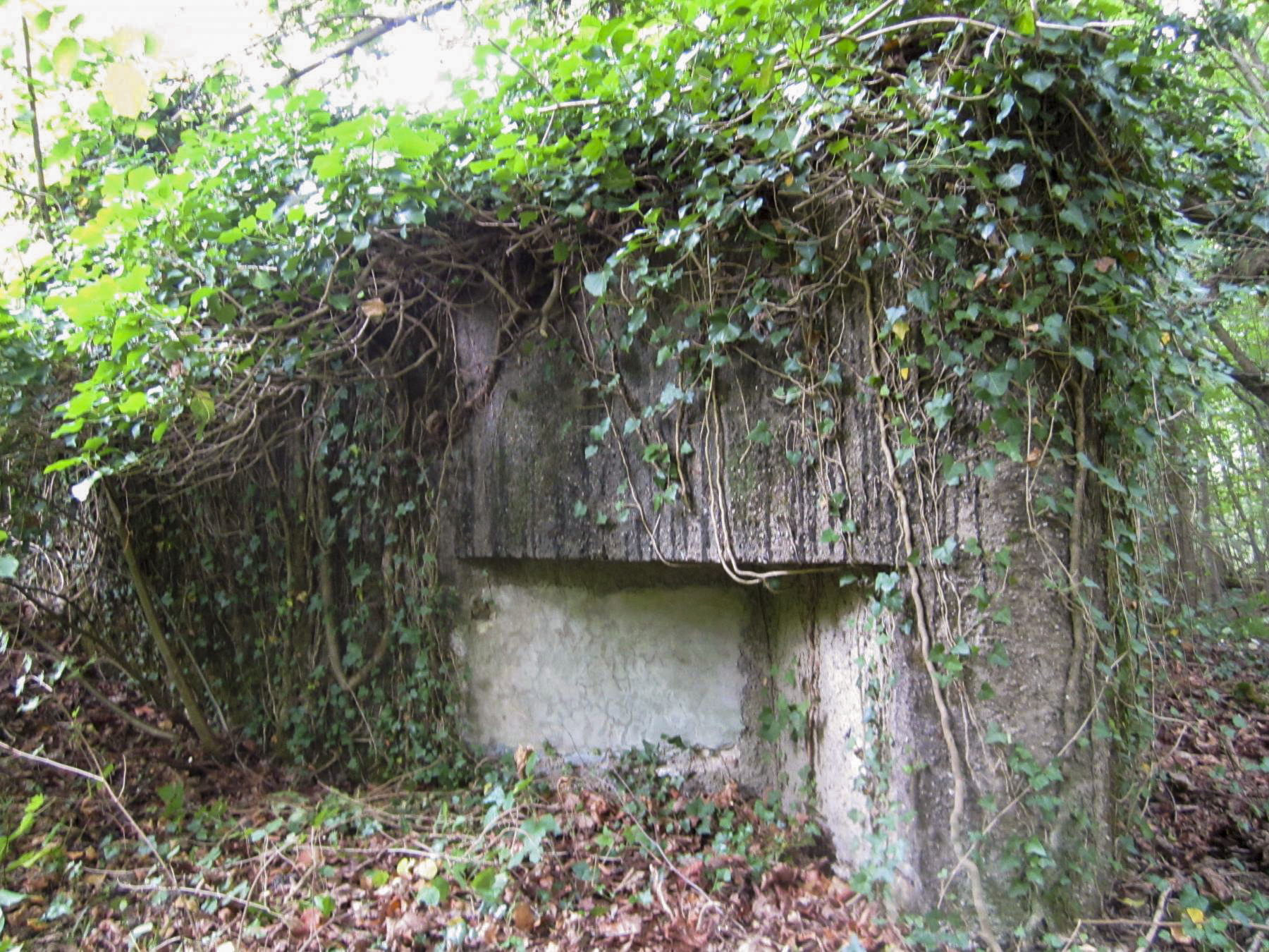 Ligne Maginot - HAUTE DIGUE 9 - (Blockhaus pour arme infanterie) - Créneau mitrailleuse droit (sud)