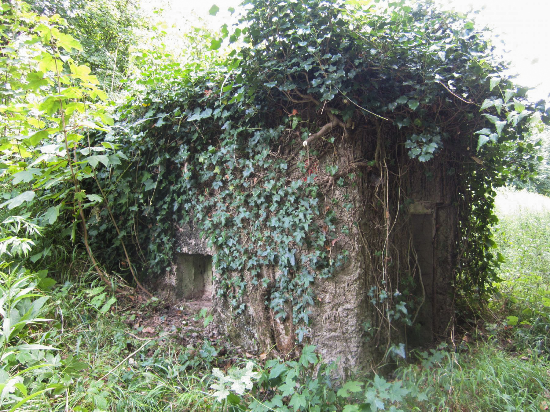 Ligne Maginot - HAUTE DIGUE 9 - (Blockhaus pour arme infanterie) - Entrée et créneau de défense rapprochée