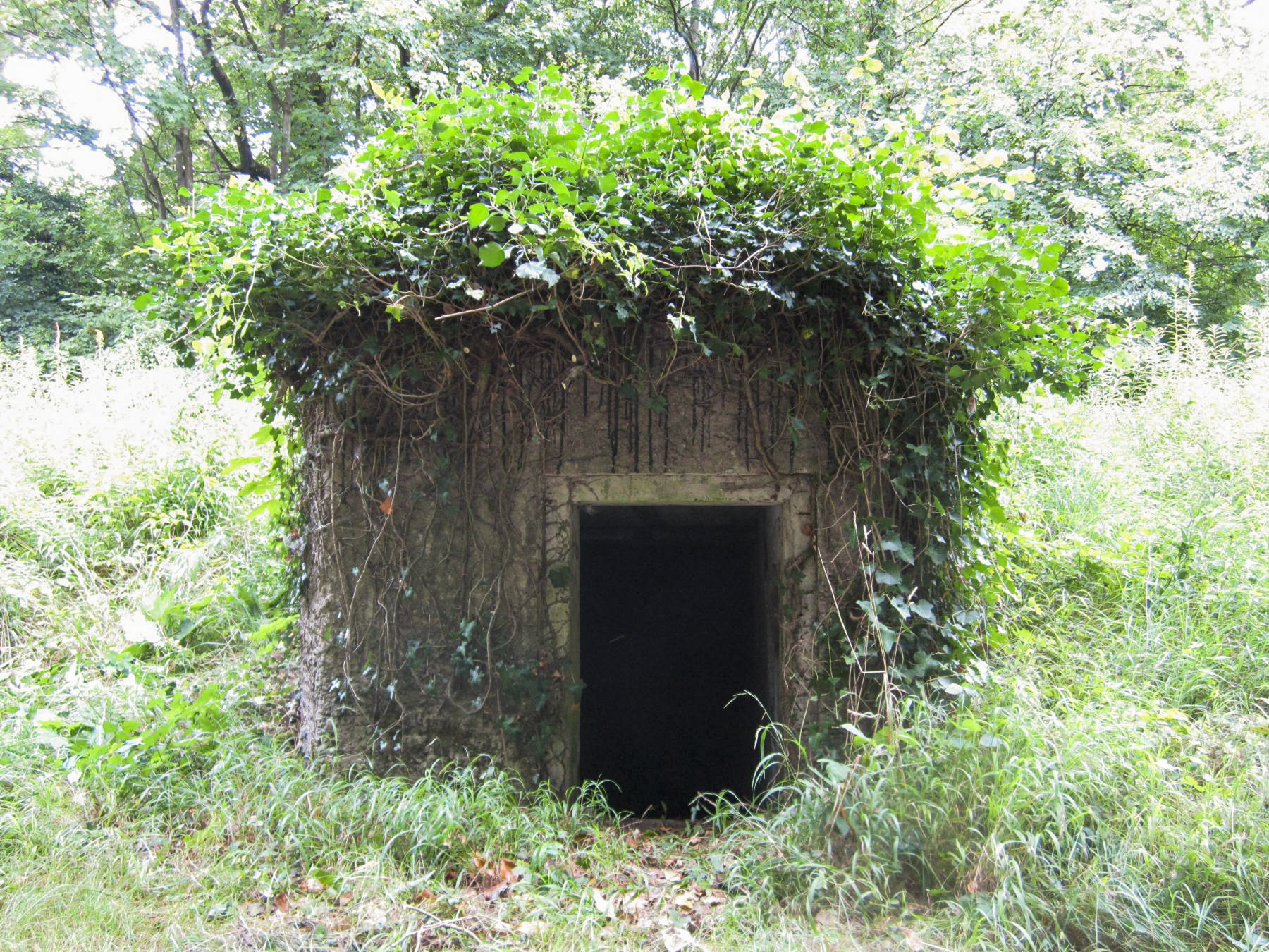 Ligne Maginot - HAUTE DIGUE 9 - (Blockhaus pour arme infanterie) - L'entrée, de l'autre coté de la digue