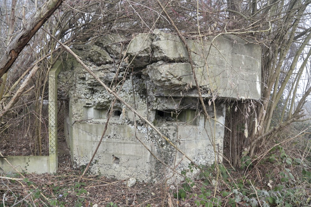 Ligne Maginot - KUEHNAU 1 - (Blockhaus pour arme infanterie) -  - Les Gardiens du Rhin