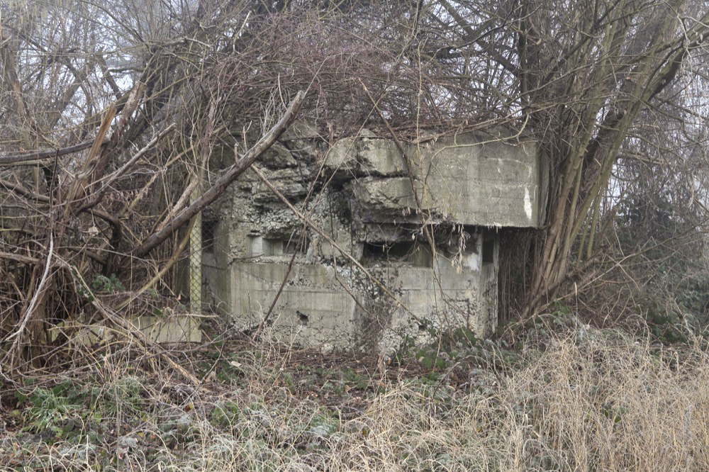 Ligne Maginot - KUEHNAU 1 - (Blockhaus pour arme infanterie) -  - Les Gardiens du Rhin