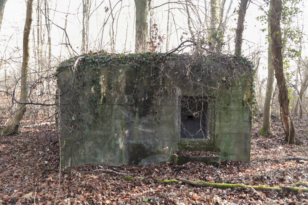 Ligne Maginot - KUEHNENSAND NORD - (Blockhaus pour arme infanterie) -  - Les Gardiens du Rhin