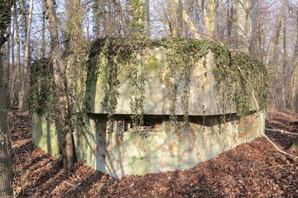 Ligne Maginot - KUEHNENSAND NORD - (Blockhaus pour arme infanterie) -  - Les Gardiens du Rhin