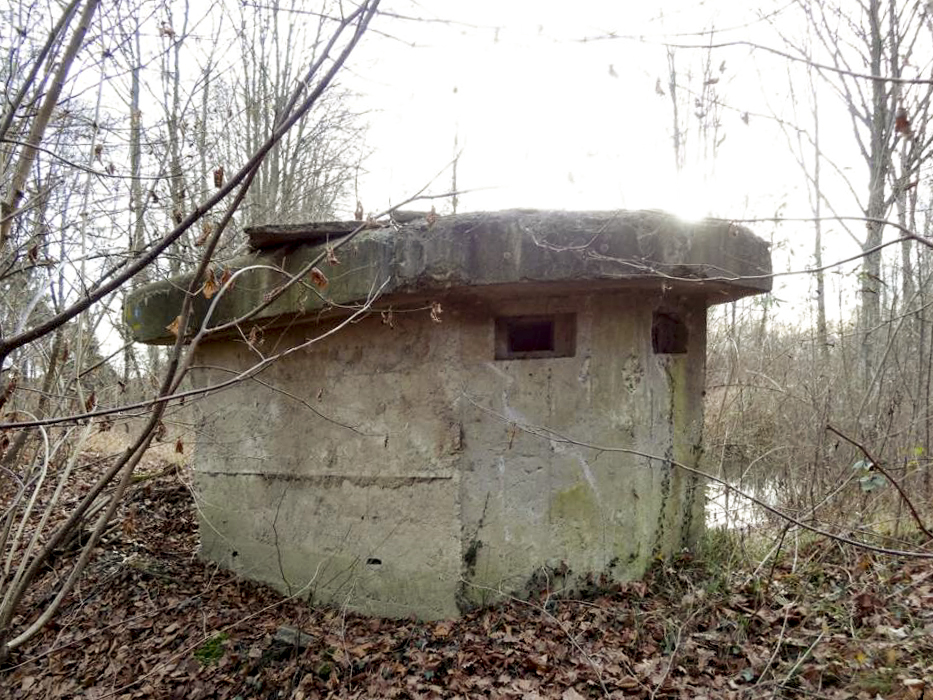 Ligne Maginot - LAMENDSAND EST - (Blockhaus pour arme infanterie) - Créneaux frontaux