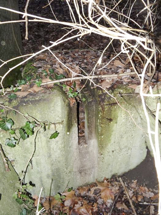 Ligne Maginot - PORT DU RHIN SUD 32BIS - (Blockhaus de type indéterminé) - Le second créneau visible, curieusement placé en coin