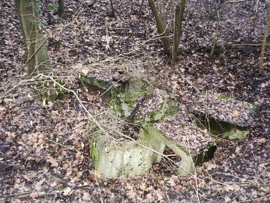 Ligne Maginot - PORT DU RHIN SUD 32BIS - (Blockhaus de type indéterminé) - Restes du bloc