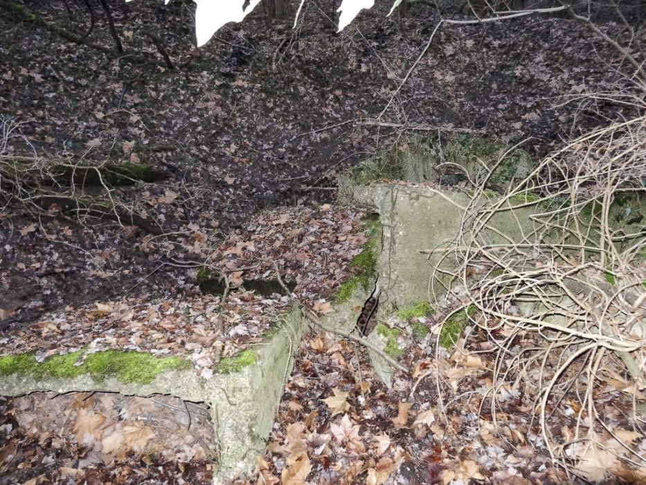 Ligne Maginot - PORT DU RHIN SUD 32BIS - (Blockhaus de type indéterminé) - Restes du bloc - Lionnel SPERANDIO
