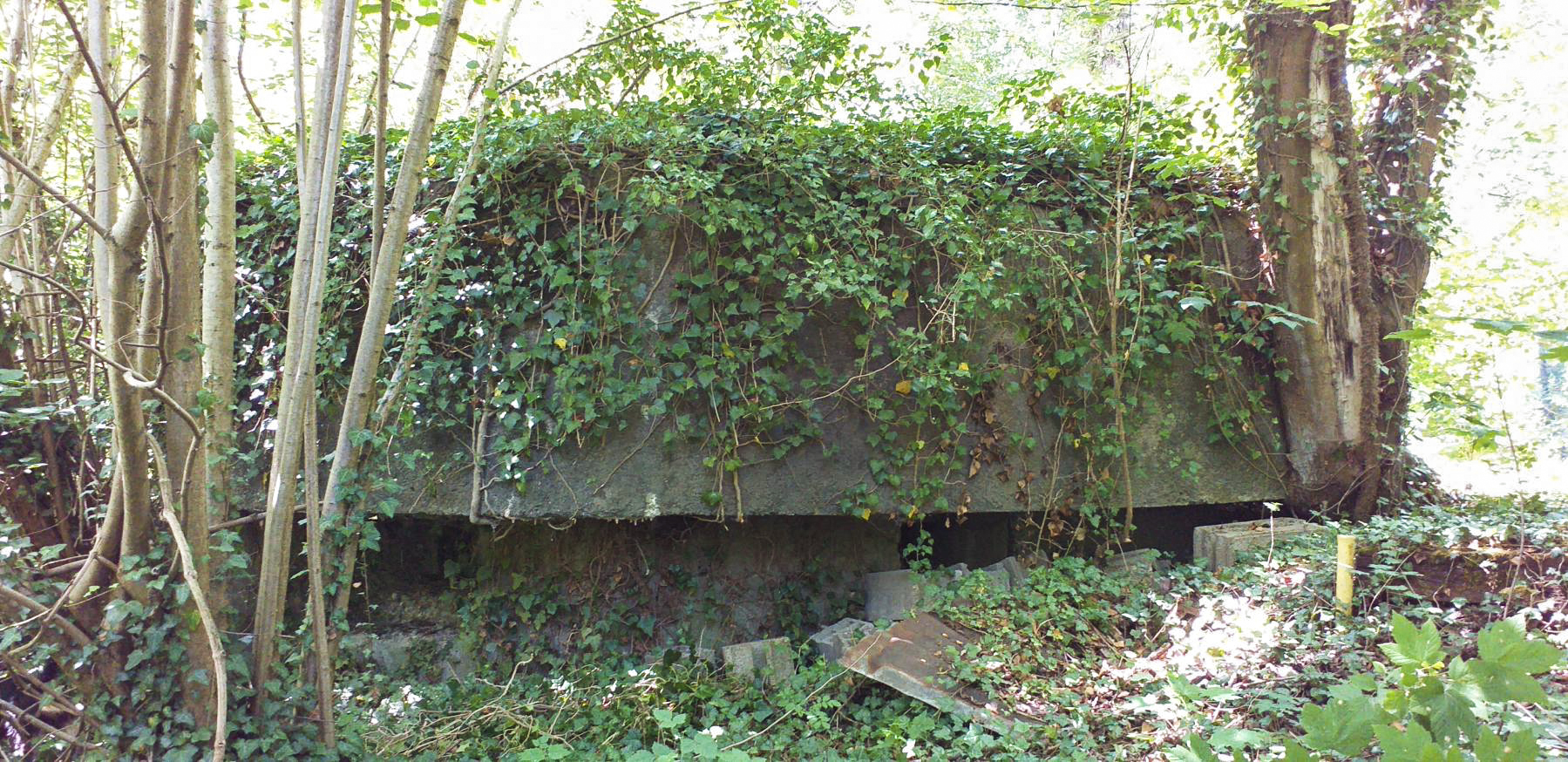 Ligne Maginot - NEUF-EMPERT 4 - (Blockhaus pour arme infanterie) - Façade frontal - G.Fuchs