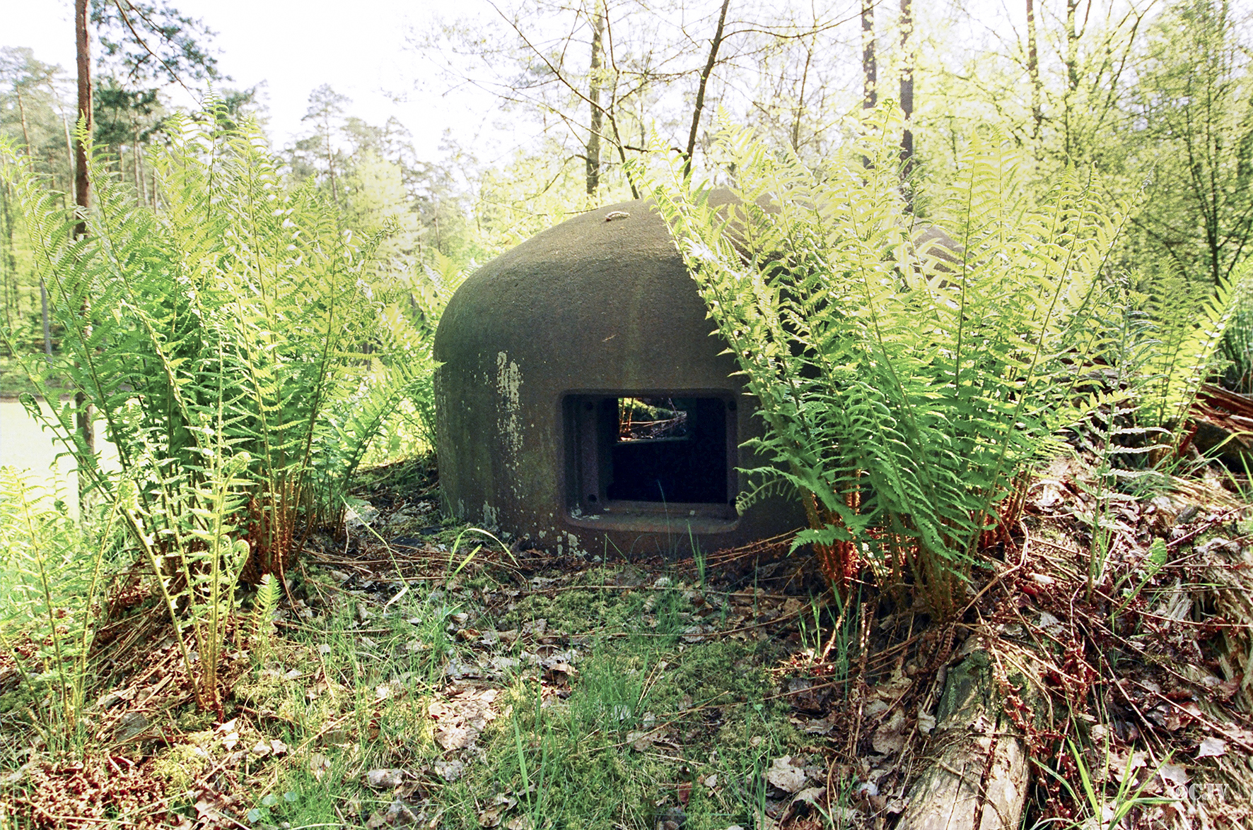 Ligne Maginot - NONNENKOPF - (Casemate d'infanterie - Double) -  - Lia VERMEULEN