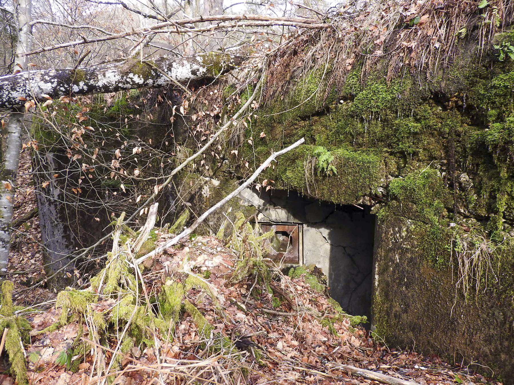 Ligne Maginot - NONNENKOPF - (Casemate d'infanterie - Double) - Le flanquement vers l'Ouest