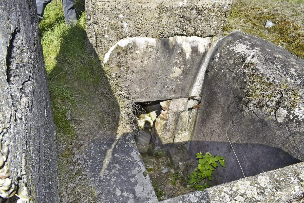 Ligne Maginot - SPORENINSEL - (Casemate d'infanterie - Double) - L'accès à la casemate depuis la berge