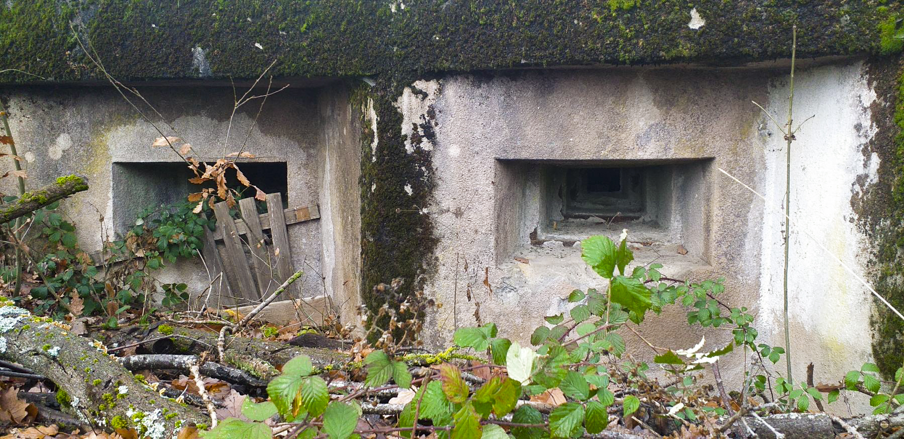 Ligne Maginot - DRACHENBRONN - (Blockhaus pour arme infanterie) - Créneaux mitrailleuses - Gregory Fuchs