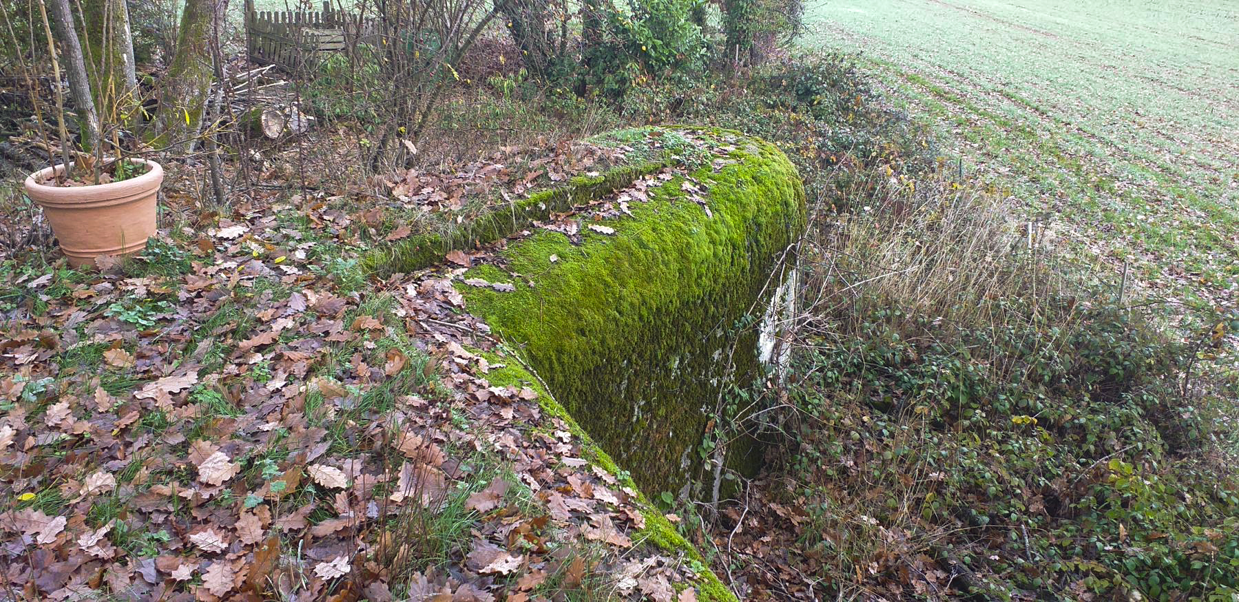 Ligne Maginot - DRACHENBRONN - (Blockhaus pour arme infanterie) - Oreillon - Gregory Fuchs