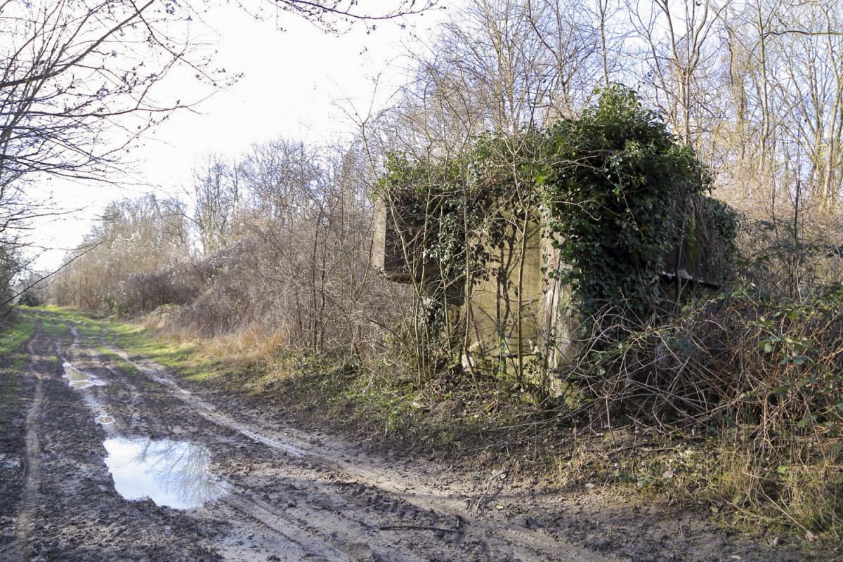 Ligne Maginot - DIGUE DE GERSTHEIM 1 - (Blockhaus pour arme infanterie) -  - A. SCHOEN