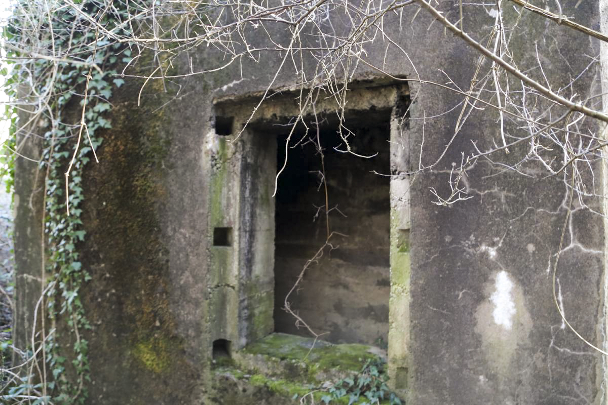 Ligne Maginot - DIGUE DE GERSTHEIM 1 - (Blockhaus pour arme infanterie) -  - A. SCHOEN