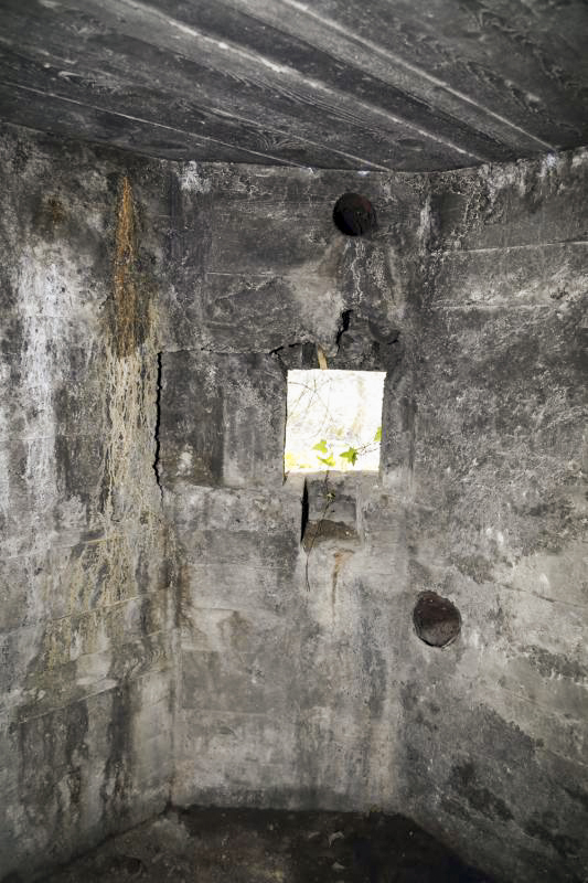 Ligne Maginot - DIGUE DE GERSTHEIM 1 - (Blockhaus pour arme infanterie) -  - A. SCHOEN