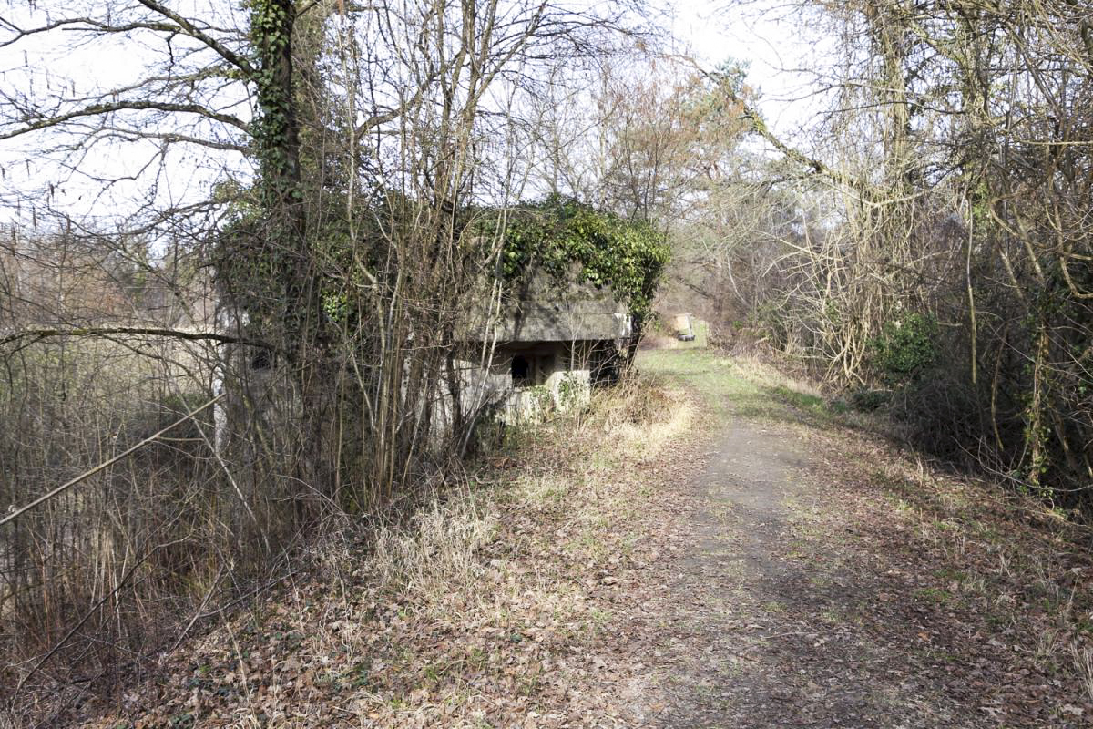 Ligne Maginot - BREITSAND 6 - (Blockhaus pour arme infanterie) - Vue générale depuis la digue