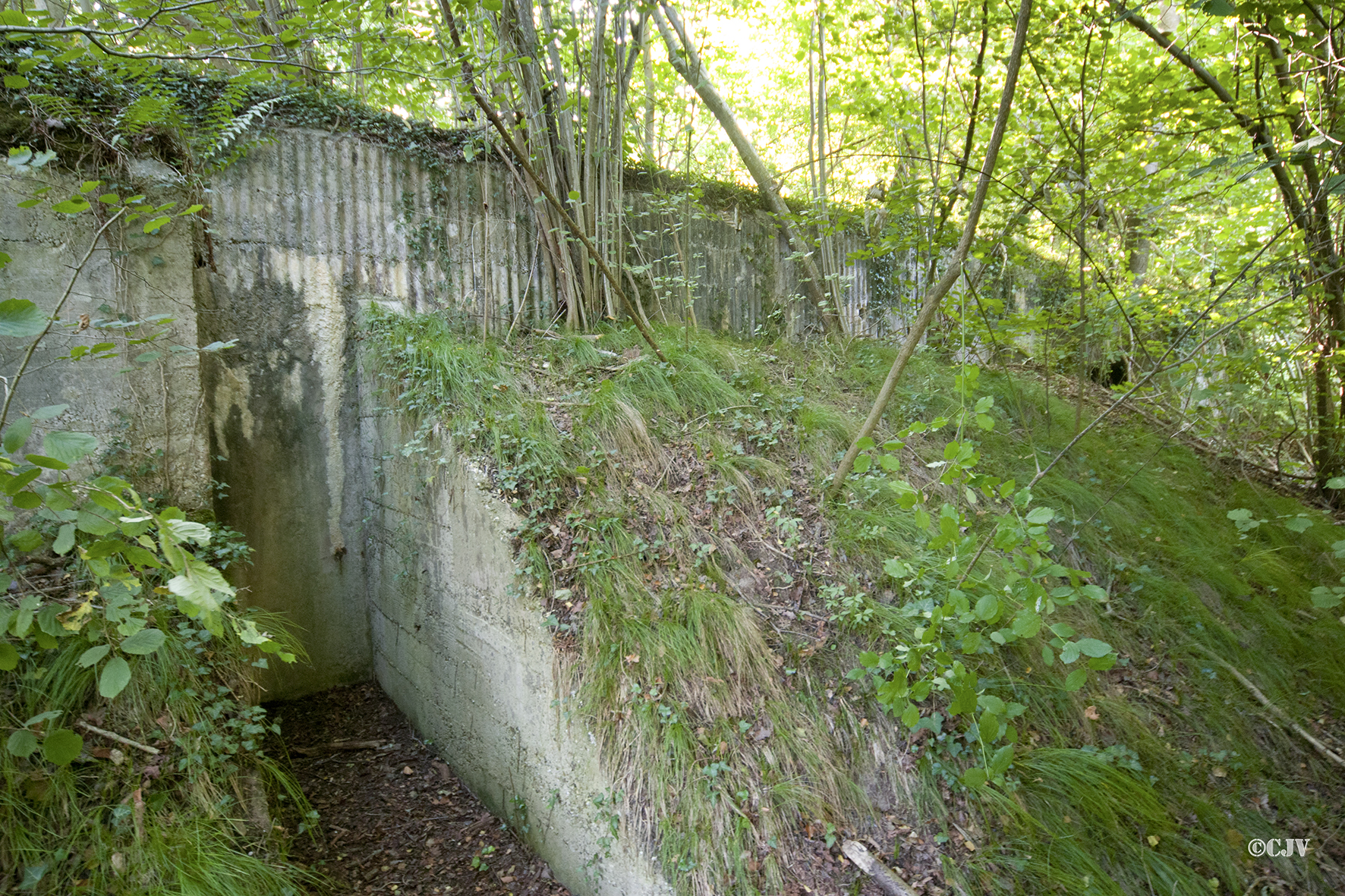 Ligne Maginot - DAUBENSAND 1 - (Abri) -  - Caspar Vermeulen