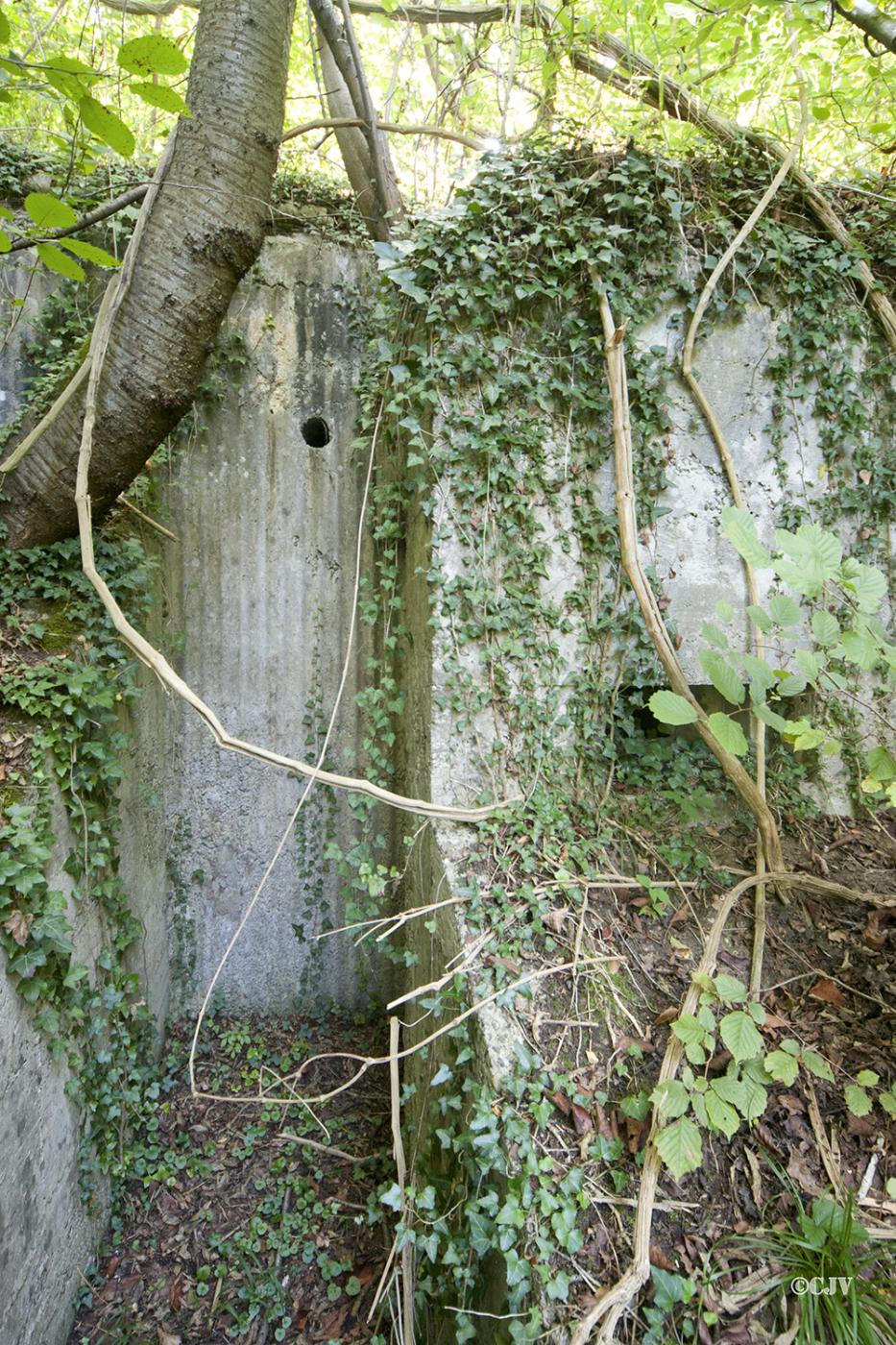 Ligne Maginot - DAUBENSAND 1 - (Abri) -  - Caspar Vermeulen