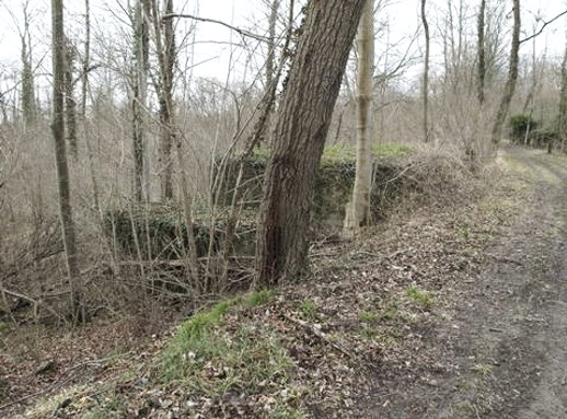 Ligne Maginot - DAUBENSAND 2 - (Abri) -  - AALMA - www.lignemaginot.com