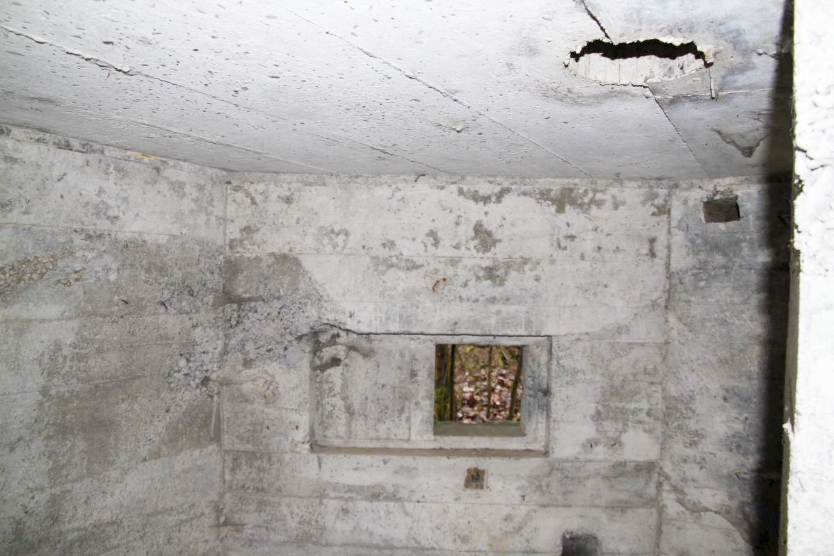 Ligne Maginot - DIGUE DE FRIESENHEIM 4 - (Blockhaus pour arme infanterie) -  - Alain Perouffe