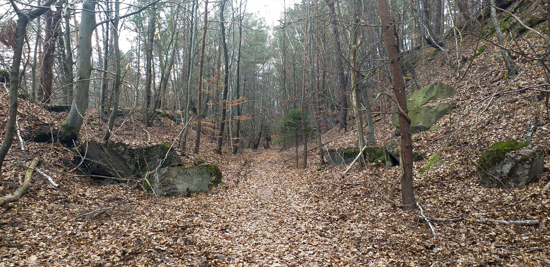 Ligne Maginot - HOCHWALD - REDUIT - (Ouvrage d'infanterie) - Chemin d'accès au réduit