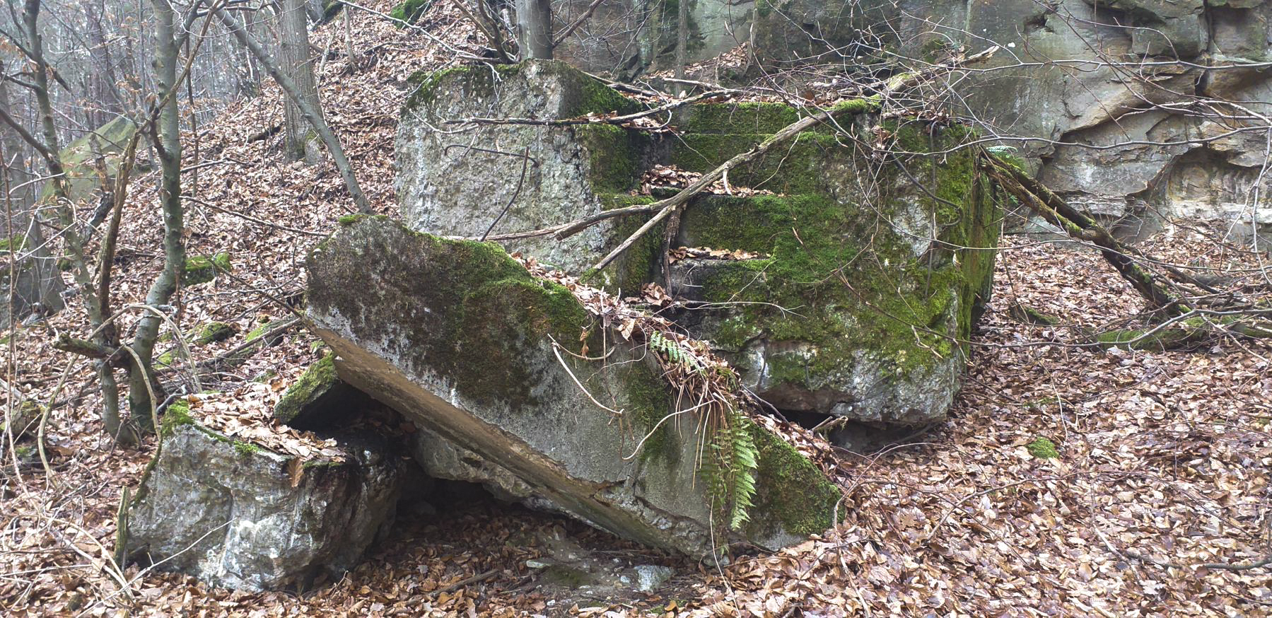 Ligne Maginot - HOCHWALD - REDUIT - (Ouvrage d'infanterie) - Le mur de façade du blockhaus de défense de l'entrée. On distingue les gradins d'un créneau