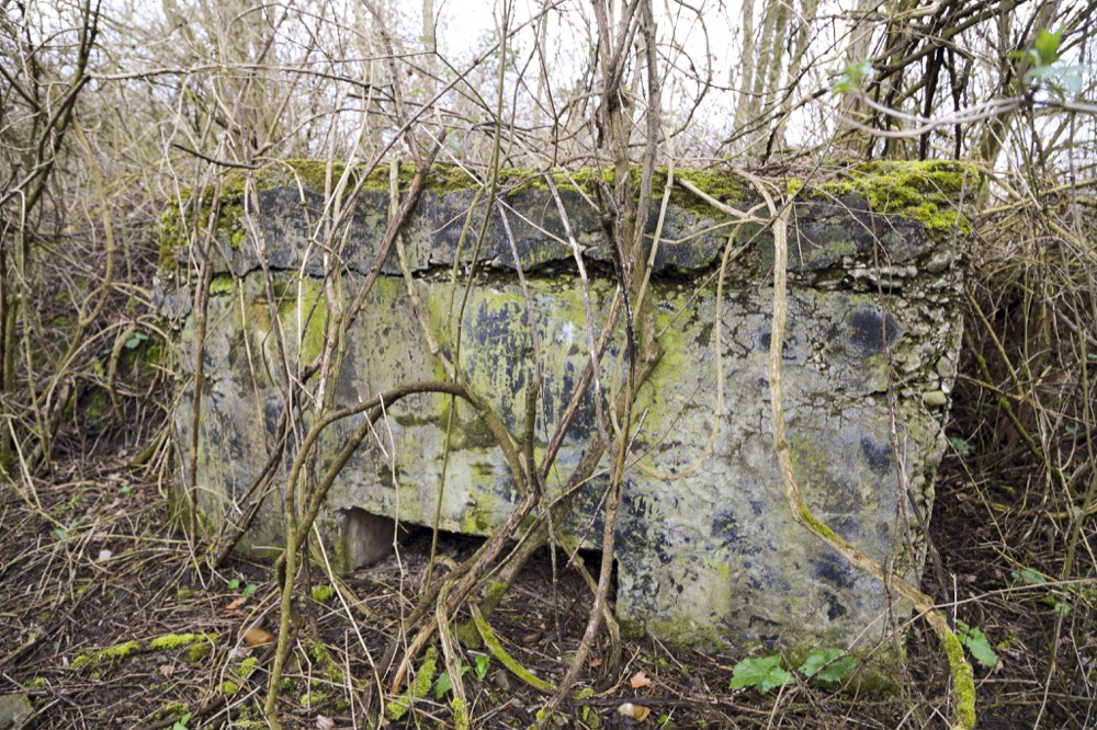Ligne Maginot - GERSTHEIM 2 (TêTE DE PONT DE ) - (Abri) - L'entrée sud bouchée vue de l'extérieur