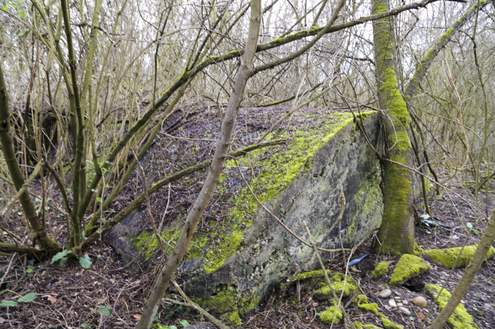 Ligne Maginot - GERSTHEIM 2 (TêTE DE PONT DE ) - (Abri) - Vue générale extérieure de l'alvéole