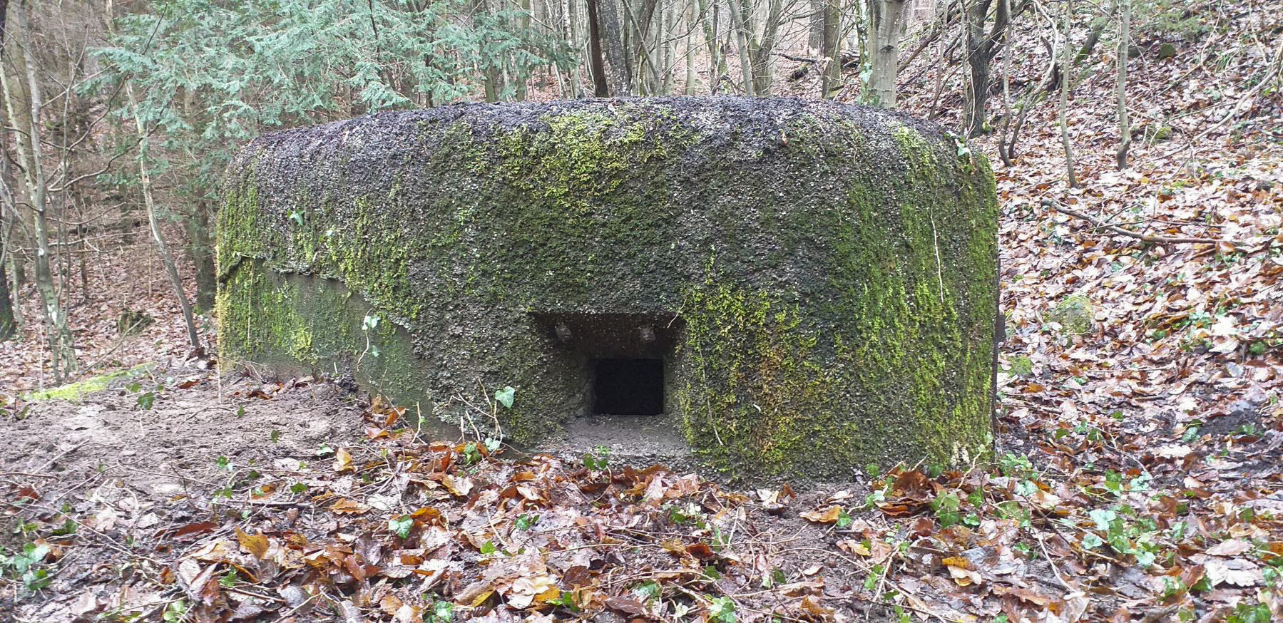 Ligne Maginot - PFAFFENSCHLICK NORD - (Blockhaus pour arme infanterie) - Créneau de gauche
