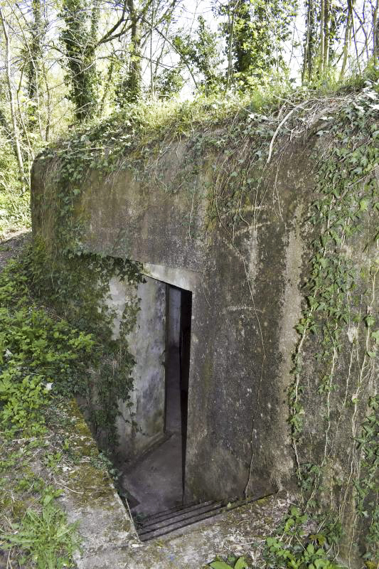 Ligne Maginot - HERRENFELD EST - (Abri actif) - Entrée nord