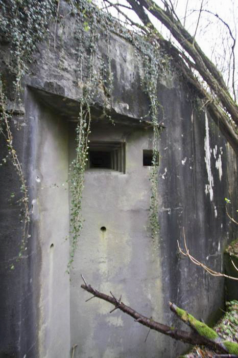 Ligne Maginot - HOCHWALD - (Ouvrage d'artillerie) - Bloc 3
Coffre de droite, créneaux pour jumelage de mitrailleuses et projecteur - GRASSER Michel