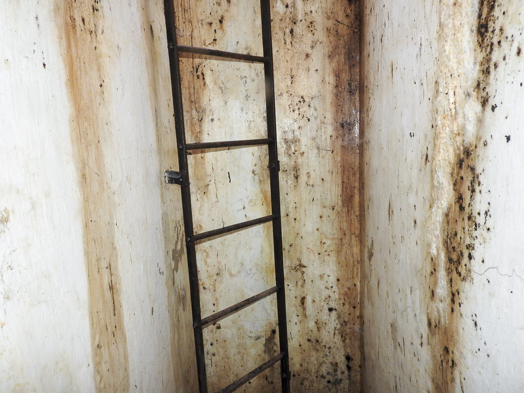 Ligne Maginot - H - (Chambre de coupure) - L'échelle d'accès