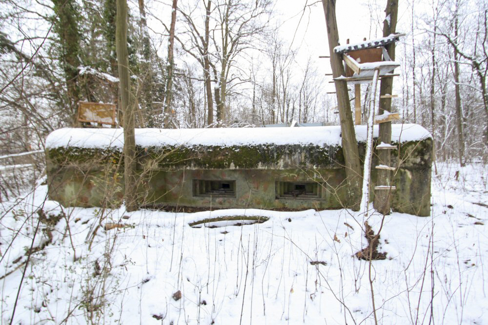 Ligne Maginot - RUHORT - (Abri) -  - Les Gardiens du Rhin