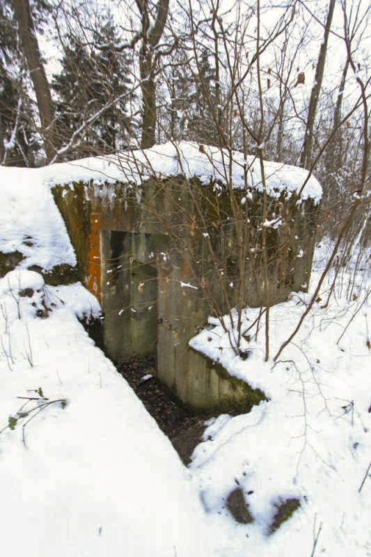 Ligne Maginot - RUHORT - (Abri) -  - Les Gardiens du Rhin