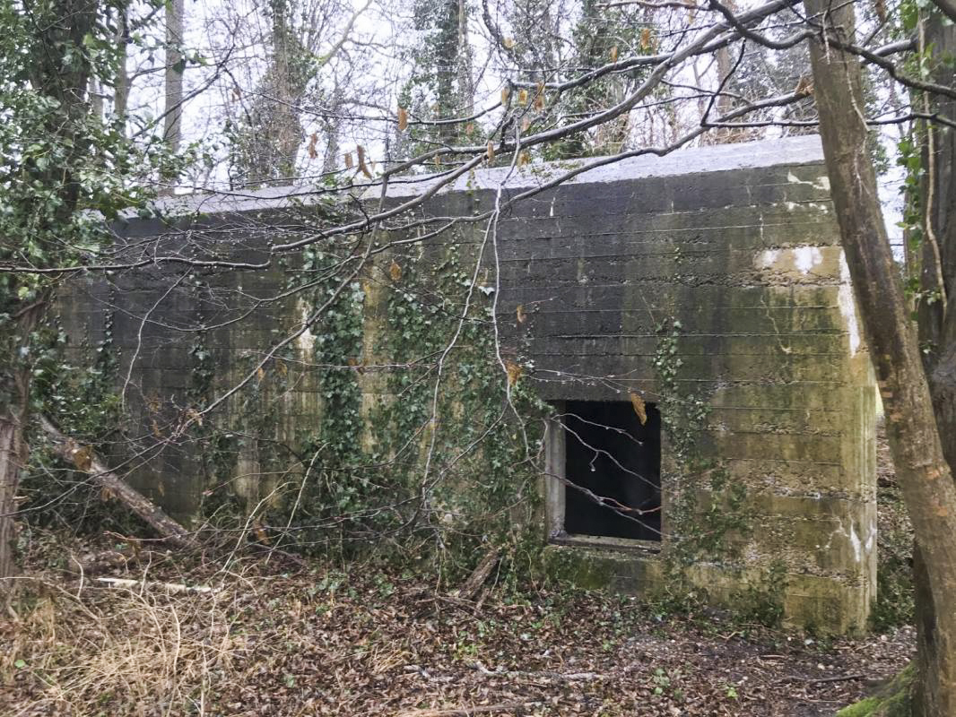 Ligne Maginot - WITTERNHEIM - (PC) -  - A. SCHOEN