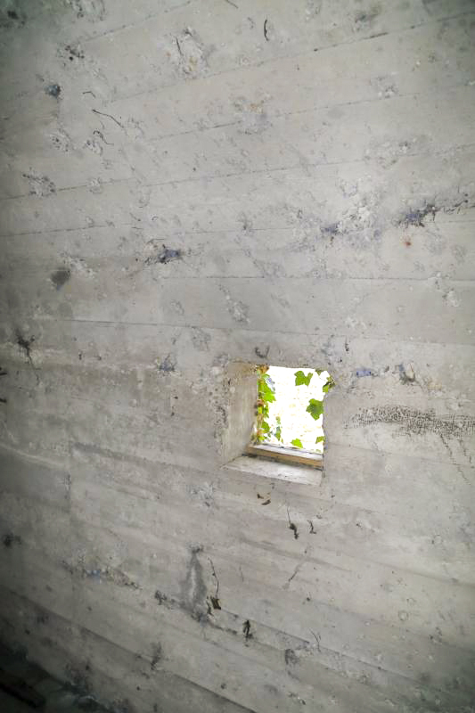 Ligne Maginot - WITTERNHEIM - (PC) -  - A. SCHOEN