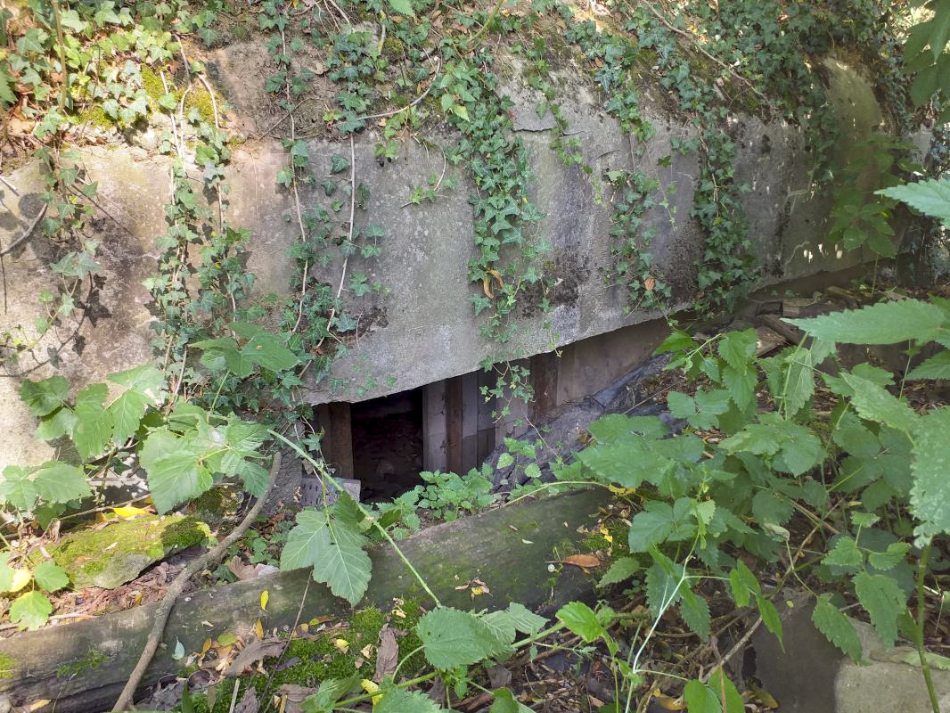 Ligne Maginot - REIMERSWILLER - (PC) - L'entrée gauche avant son dégagement