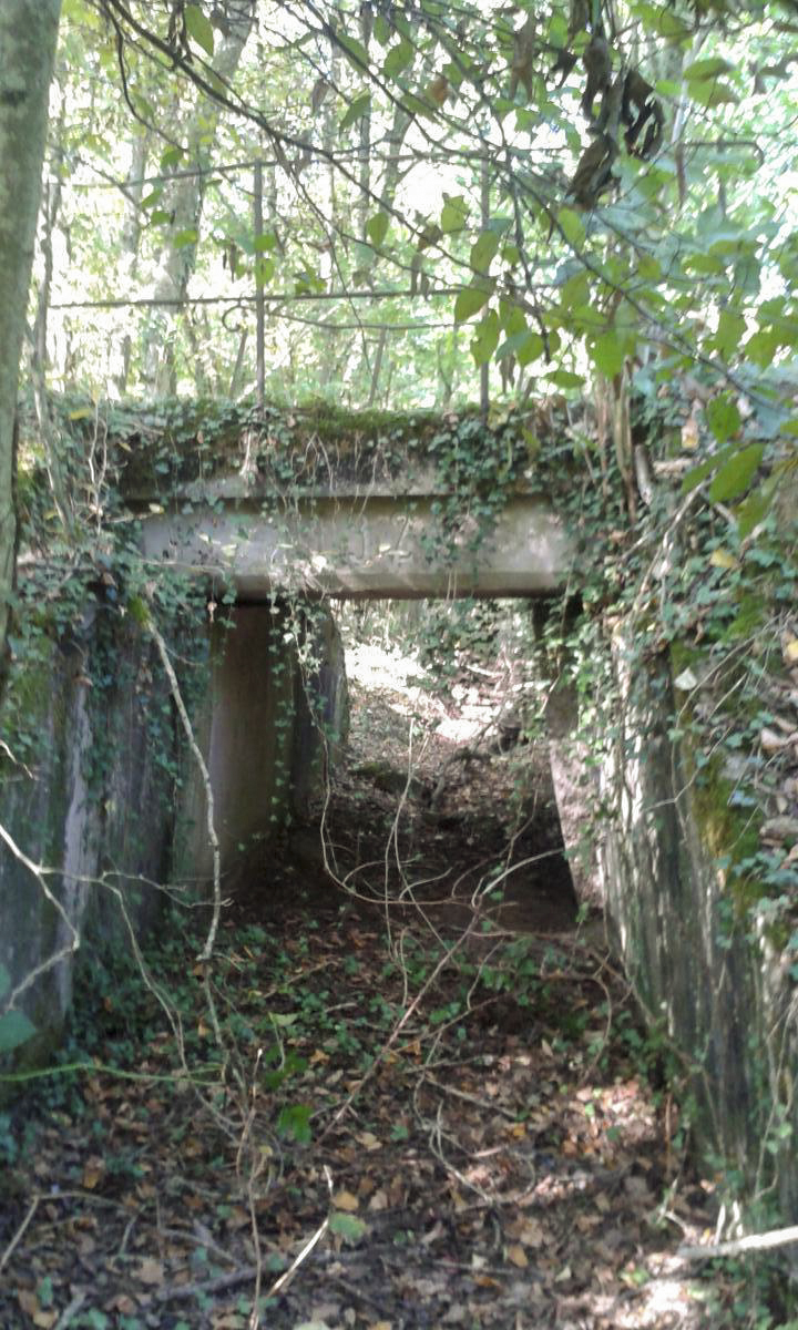 Ligne Maginot - BIBLIESHEIM - (Infrastructure ferroviaire) - 21 - PONT SUR LA SAUER - BIBLIESHEIM
