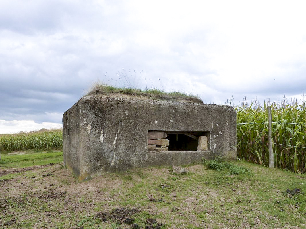 Ligne Maginot - BIRLENBACH SUD 1 - (Blockhaus pour canon) -  - JMBrams