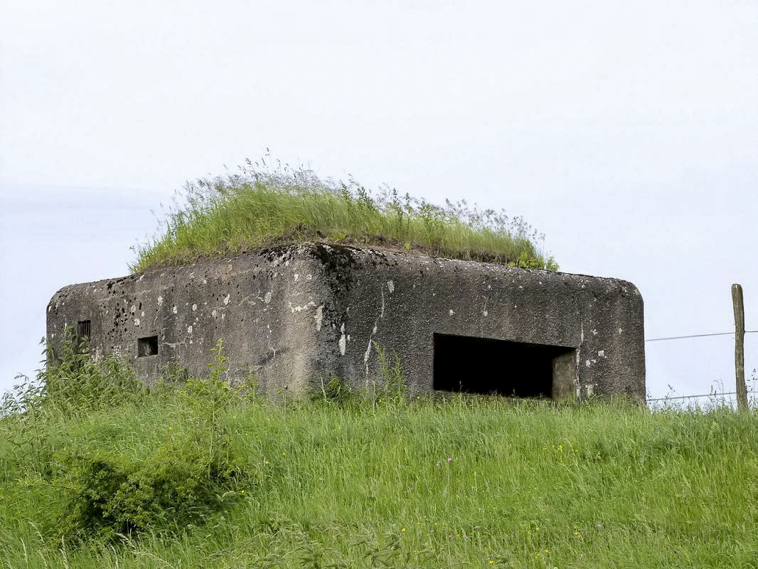 Ligne Maginot - BIRLENBACH SUD 1 - (Blockhaus pour canon) -  - JMBrams