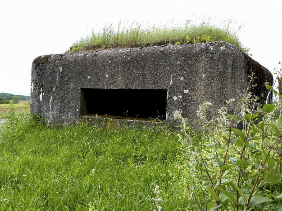 Ligne Maginot - BIRLENBACH SUD 1 - (Blockhaus pour canon) -  - JMBrams