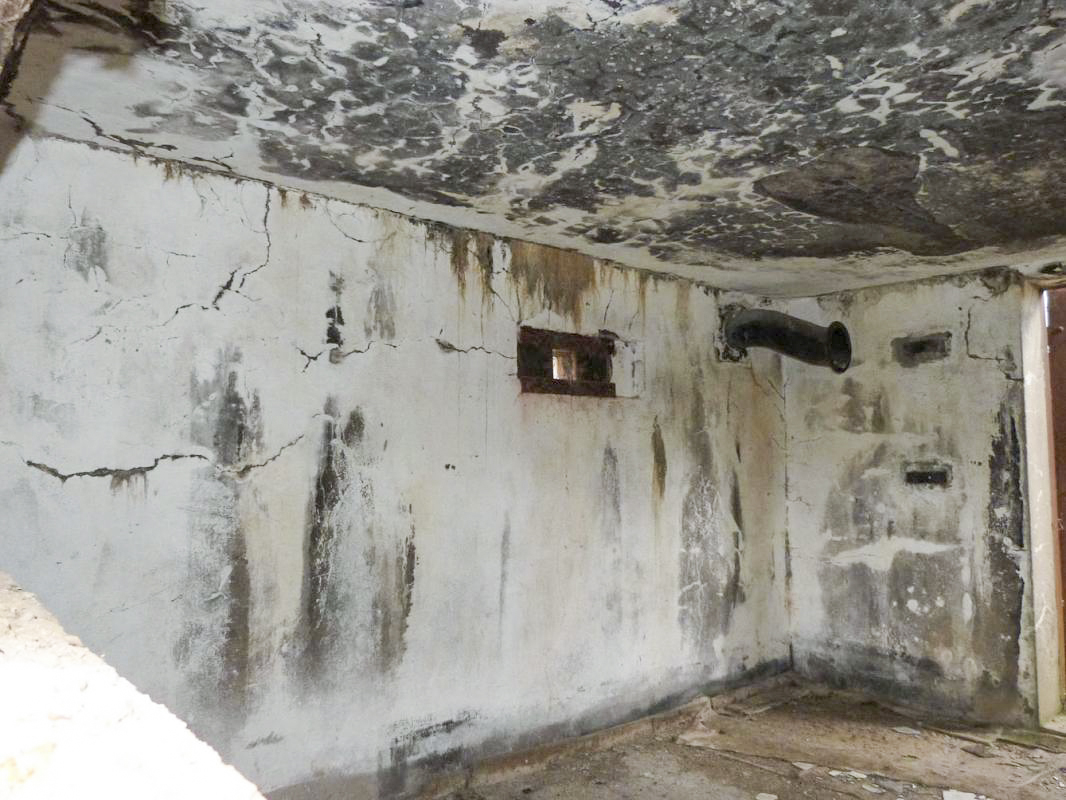 Ligne Maginot - BIRLENBACH SUD 1 - (Blockhaus pour canon) -  - JMBrams