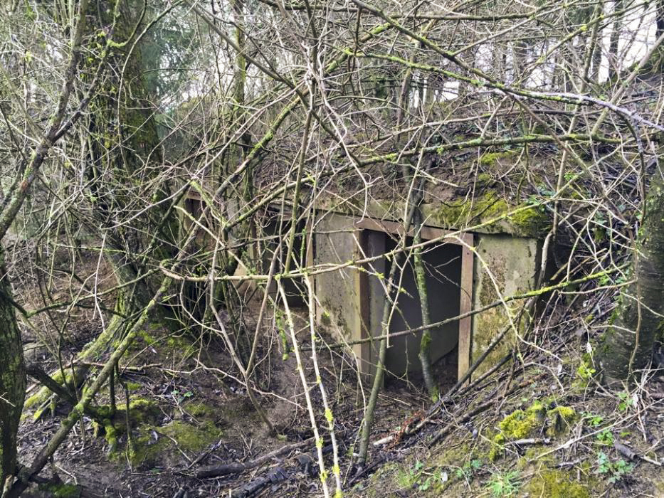 Ligne Maginot - BREITENACKER NORD - (Casemate d'infanterie - Simple) - Les niches extérieures pour les mines et barbelés