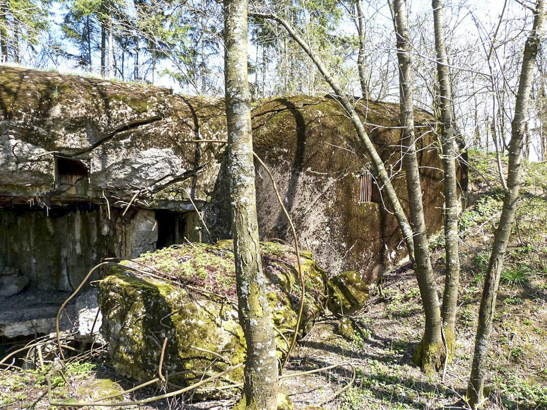 Ligne Maginot - BREITENACKER NORD - (Casemate d'infanterie - Simple) - 