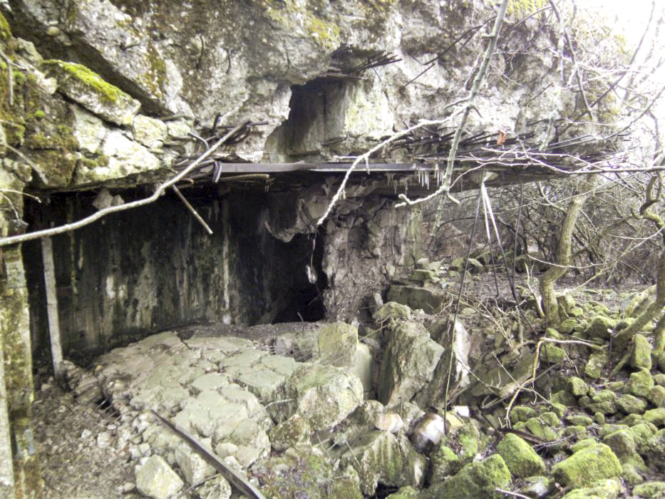Ligne Maginot - BREITENACKER SUD - (Casemate d'infanterie - Simple) - 