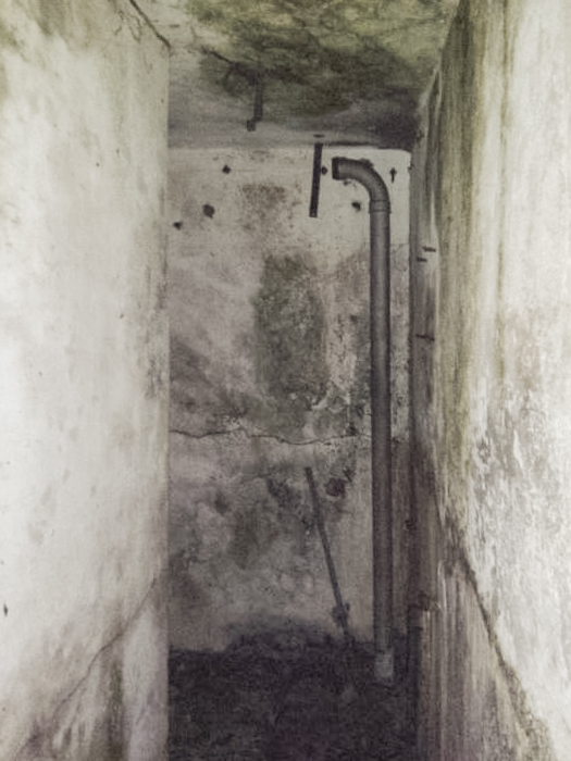 Ligne Maginot - BREITENACKER SUD - (Casemate d'infanterie - Simple) - 