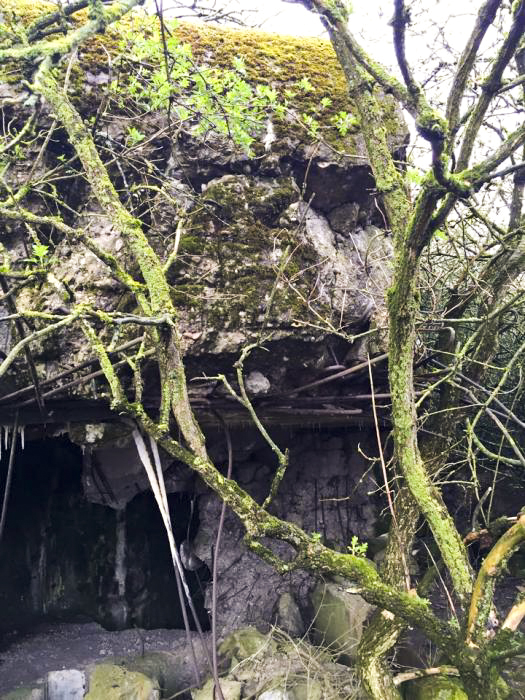 Ligne Maginot - BREITENACKER SUD - (Casemate d'infanterie - Simple) - 