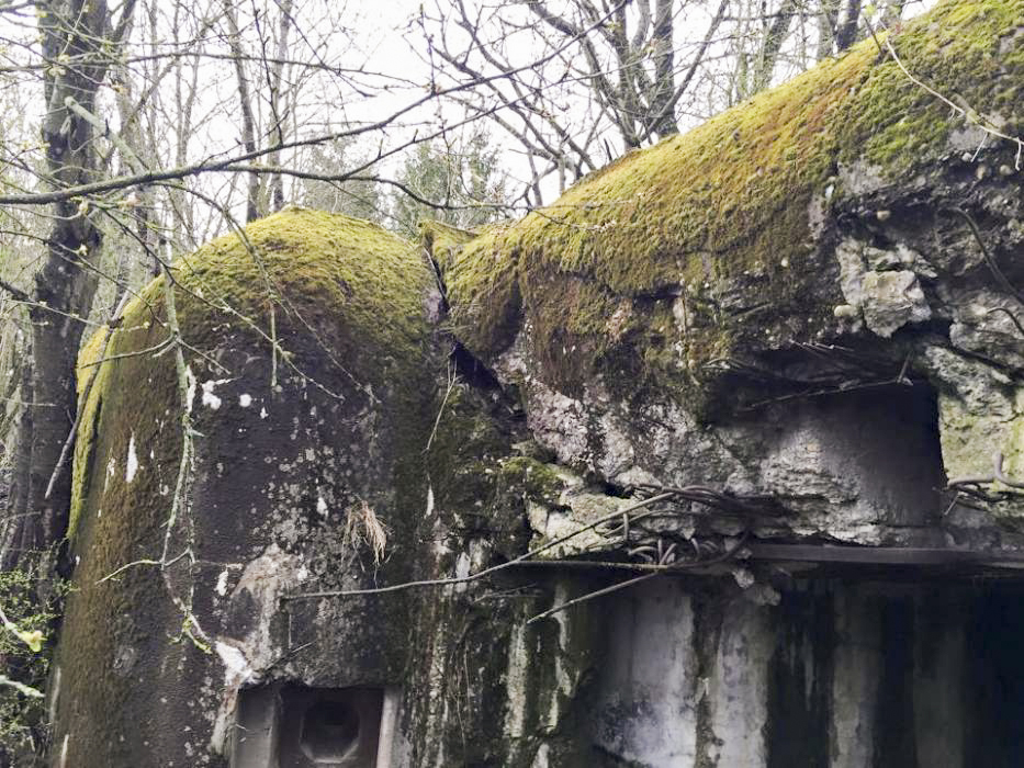 Ligne Maginot - BREITENACKER SUD - (Casemate d'infanterie - Simple) - 